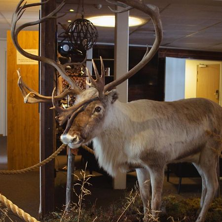 Hornavan Hotell アリエプローグ エクステリア 写真
